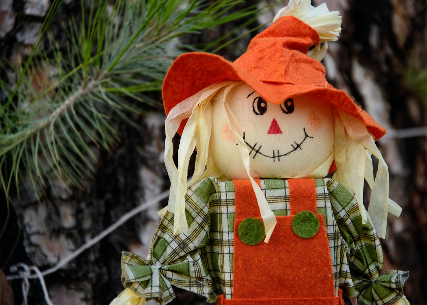 动漫中的微笑之美,探索微笑图片的魅力