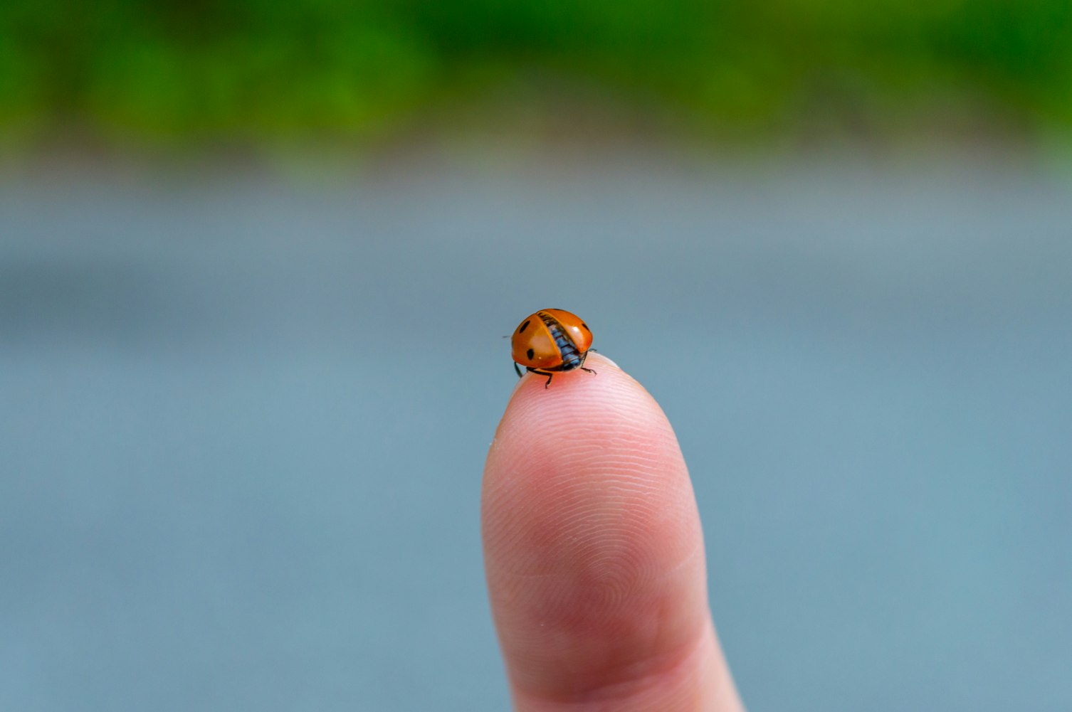 唐山最新交通管制信息详解及更新动态分析