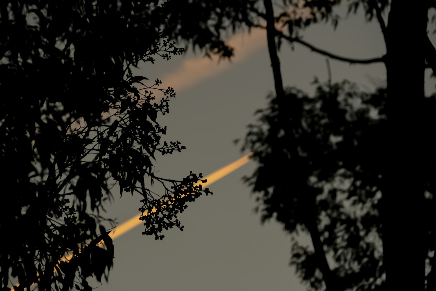 动漫蓝忘机图片,探索魅力,图片的启示