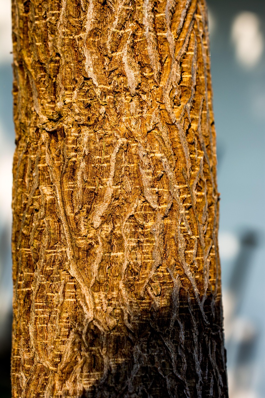 京沈高铁最新进展、影响与展望,全线动态速递