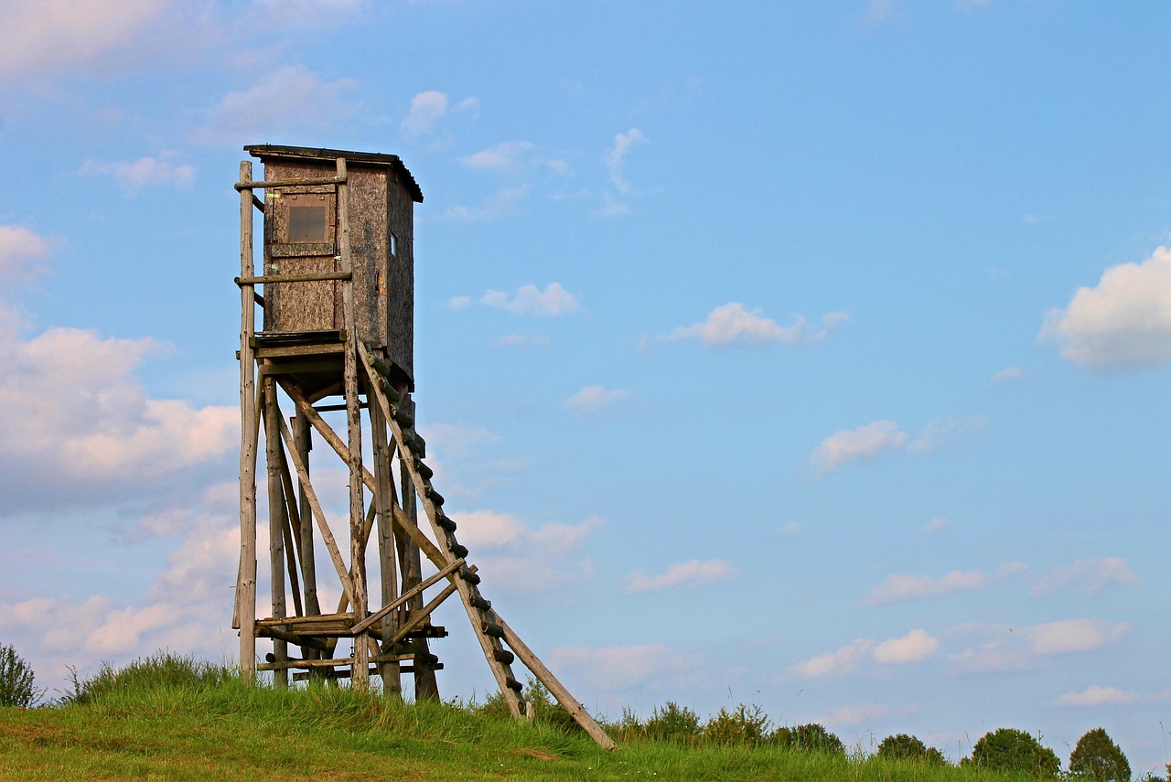 射击比赛总结,经验、教训及未来展望展望射击竞技之路的发展返回标题射击比赛总结,经验、教训与未来展望的洞察