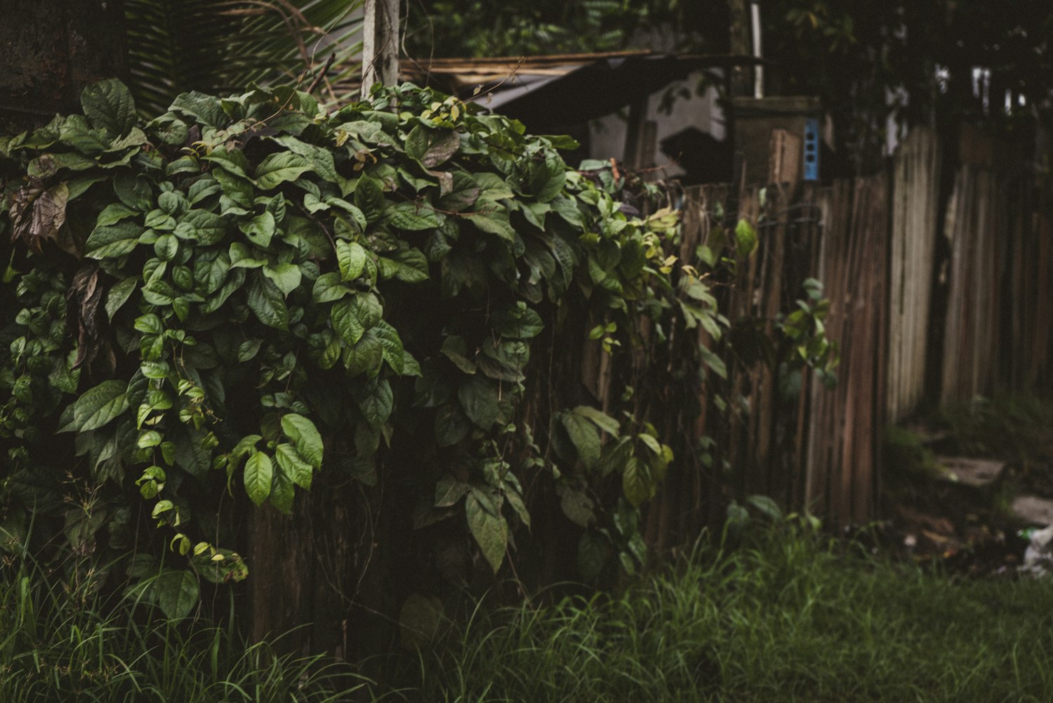 日照裕升华庭最新动态揭秘,未来居住新篇章开启