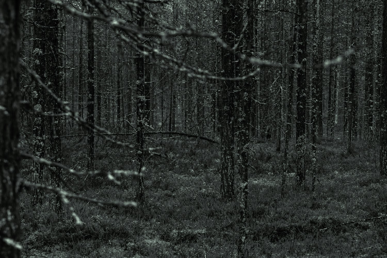 最新僵尸片的跨界之旅,从恐怖到科幻的魅力与演变