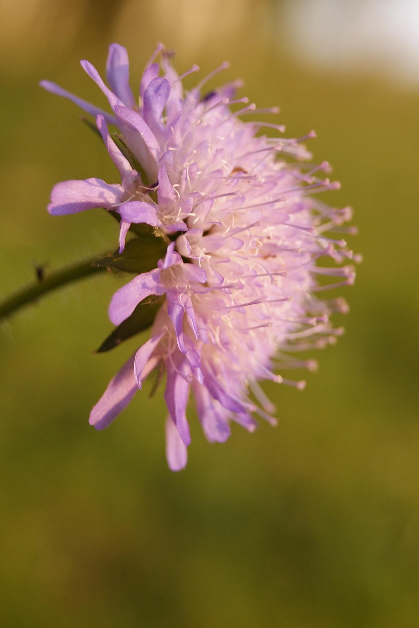 许昌何天立职务变动的最新动态及最新职务变动消息