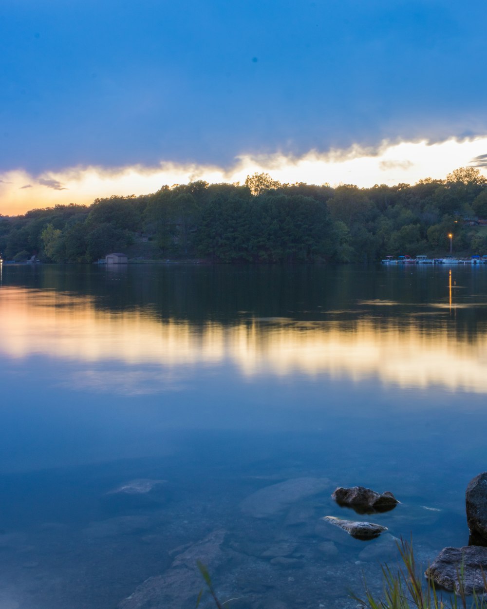 龙舟比赛图片,展现团结与活力的壮丽画卷