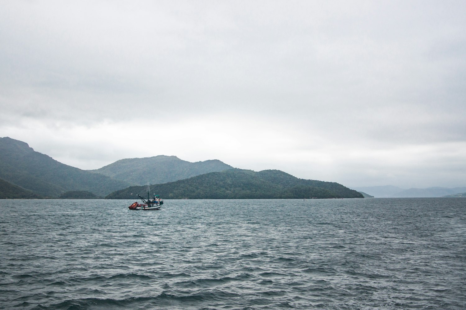 苏州最新野钓胜地,探索自然之美,垂钓乐趣尽享