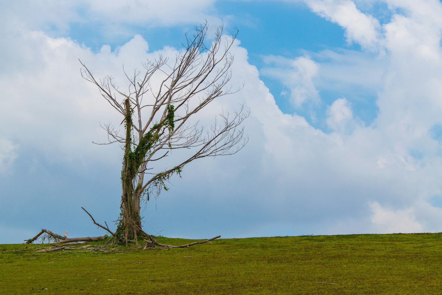 镇江地铁最新进展,迈向现代化城市步伐的新动态