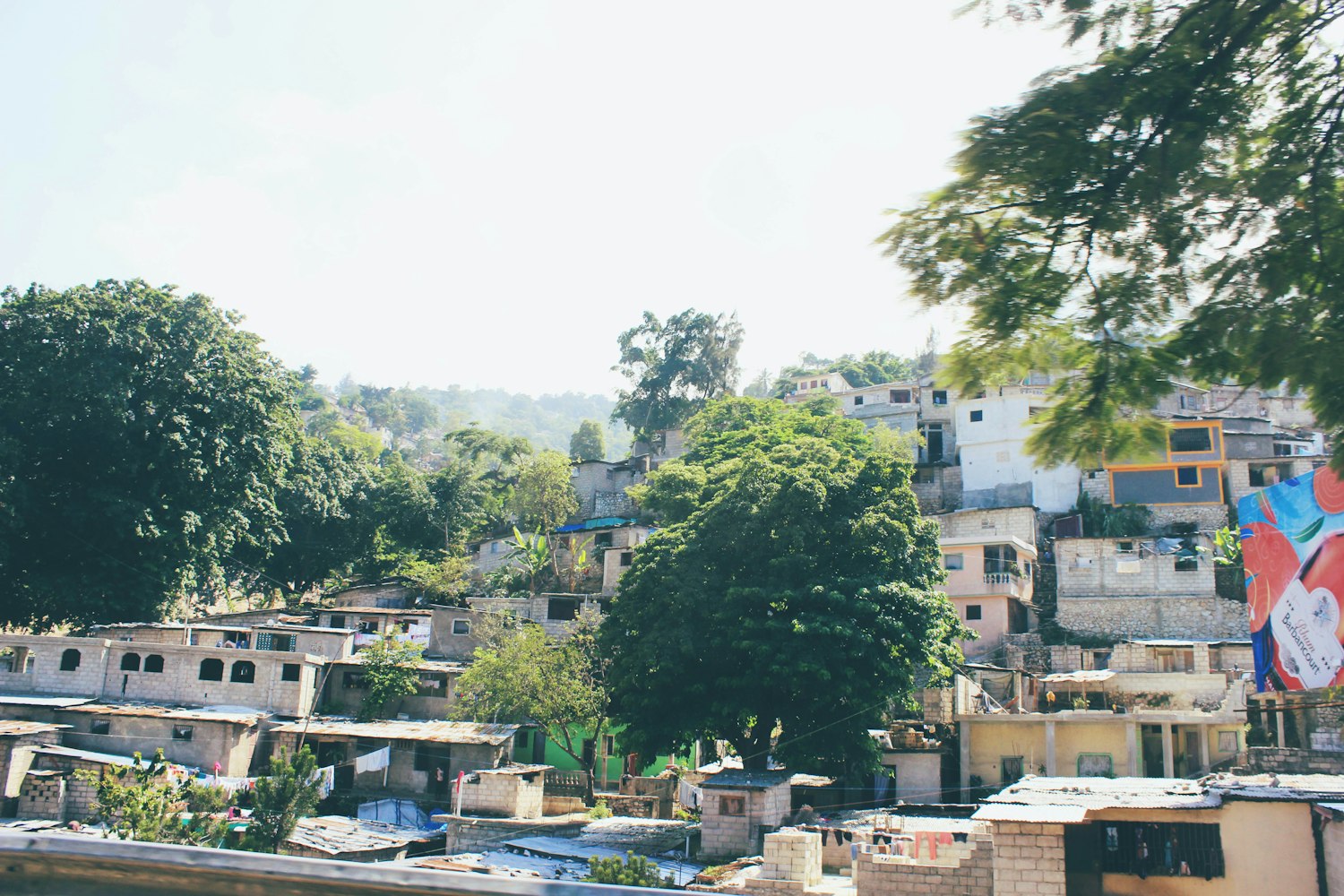 探索化州城市脉搏,新鲜资讯一网打尽