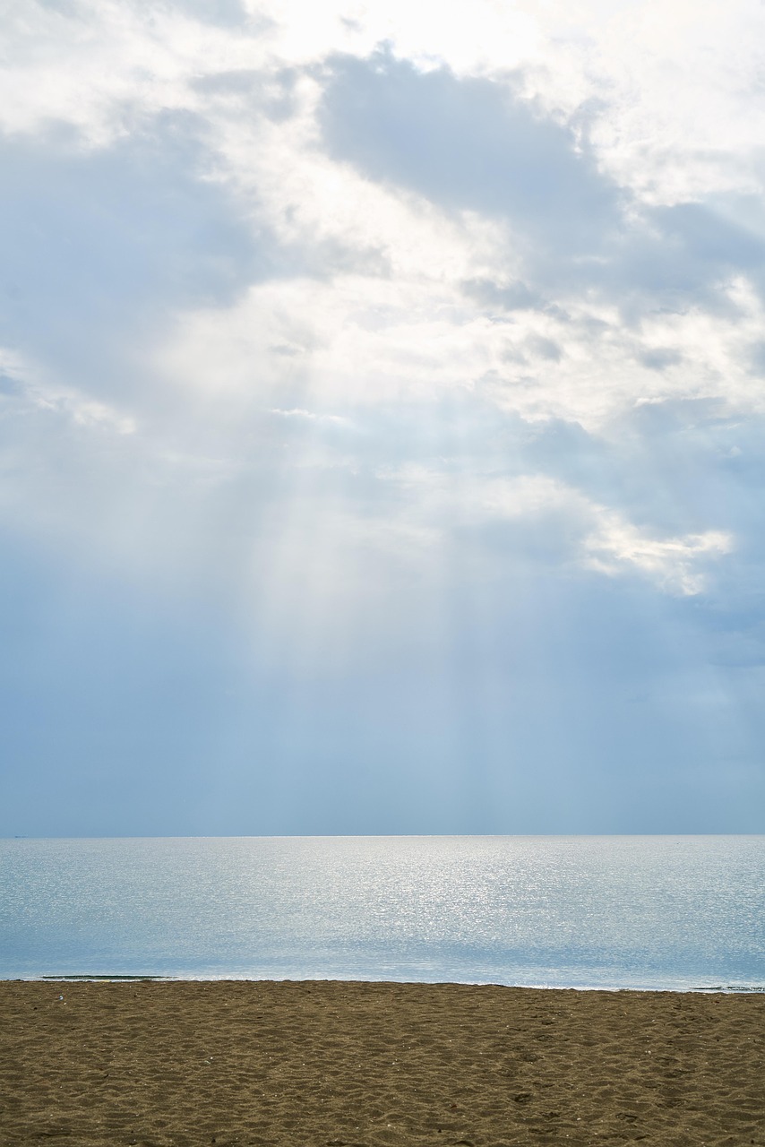 天津Z1线最新动态,城市轻轨开启新篇章