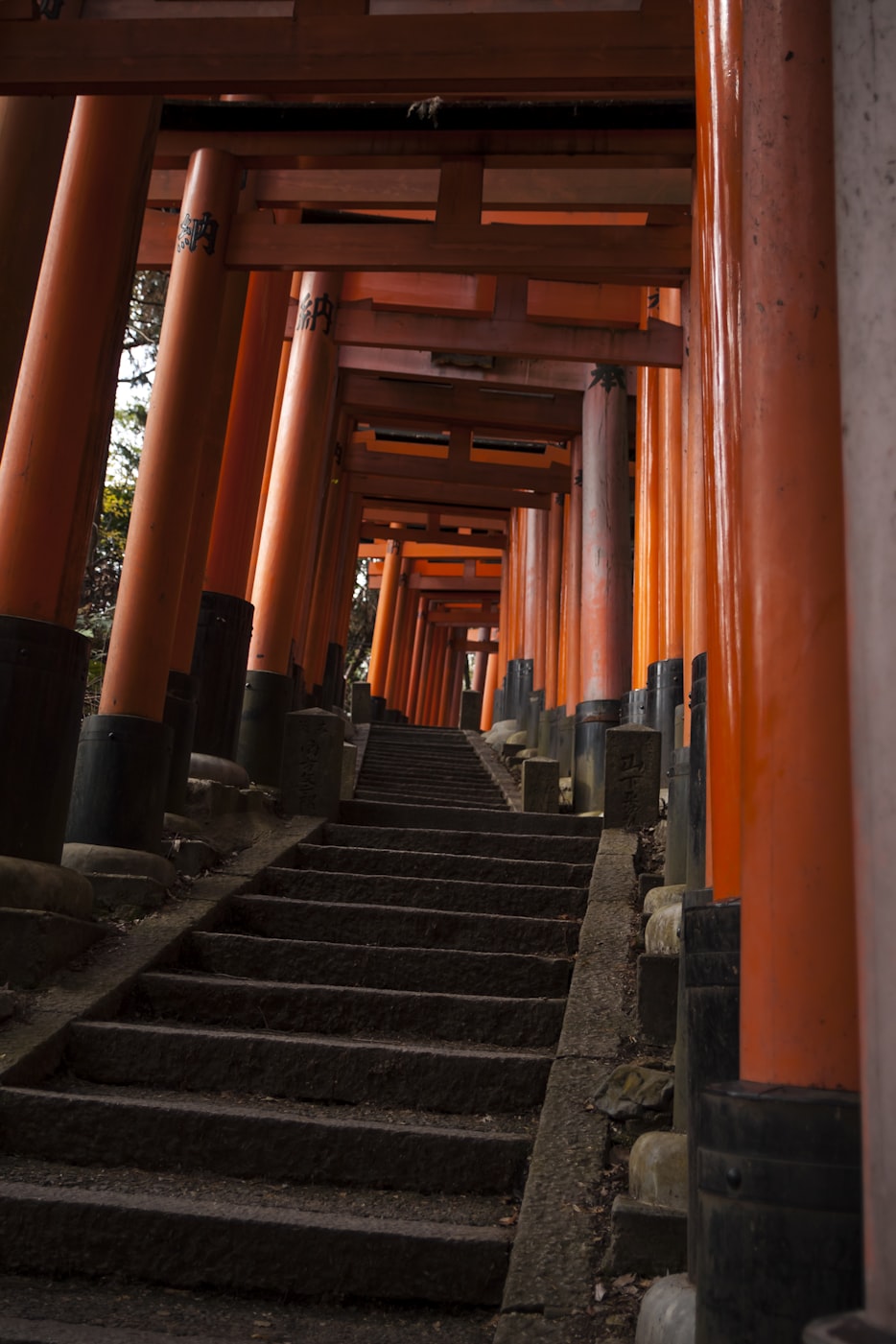 白洋淀科技城创新发展步伐持续迈进,最新动态汇总