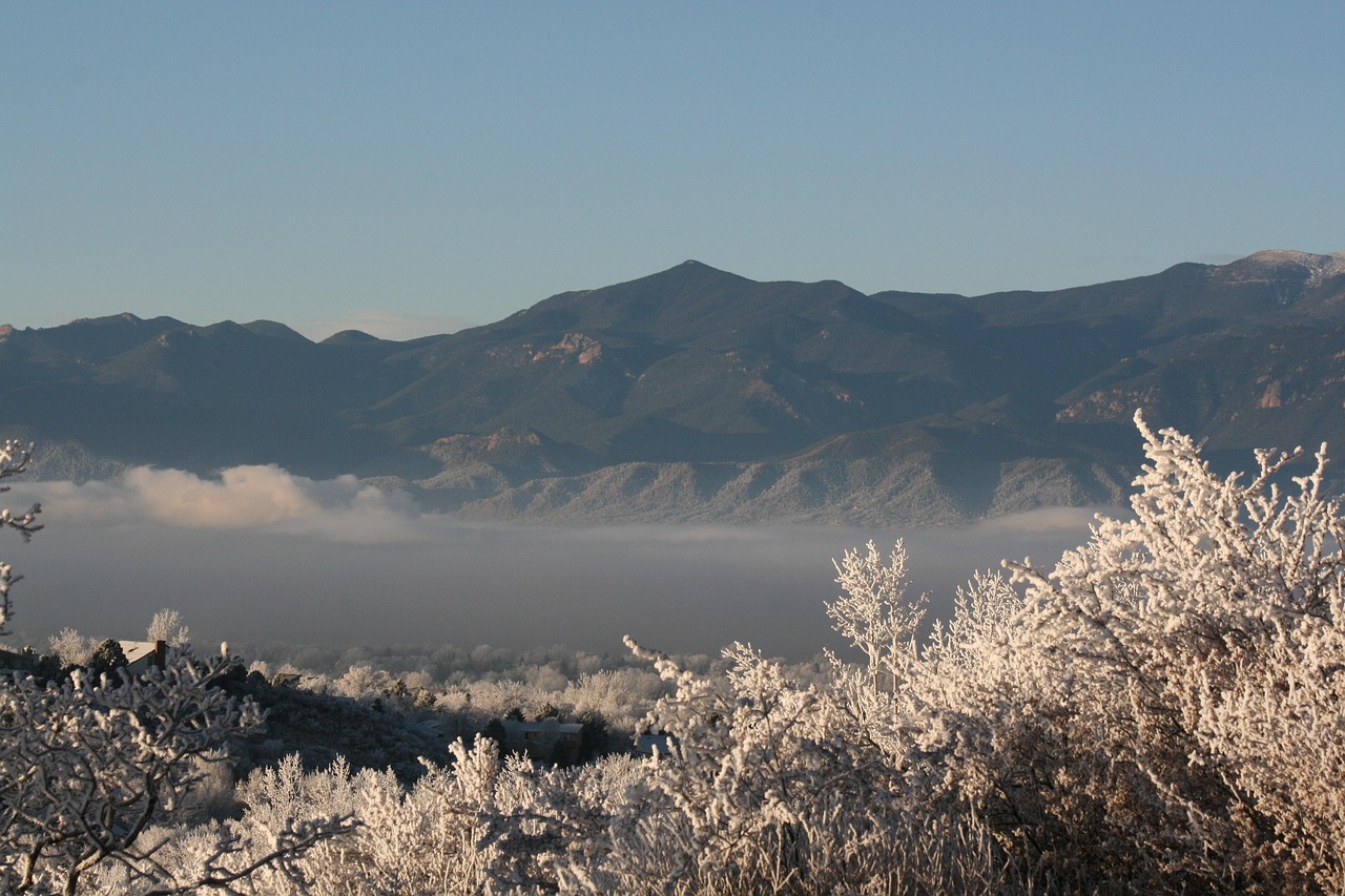 美国最新资讯概览,最新动态与新闻速递