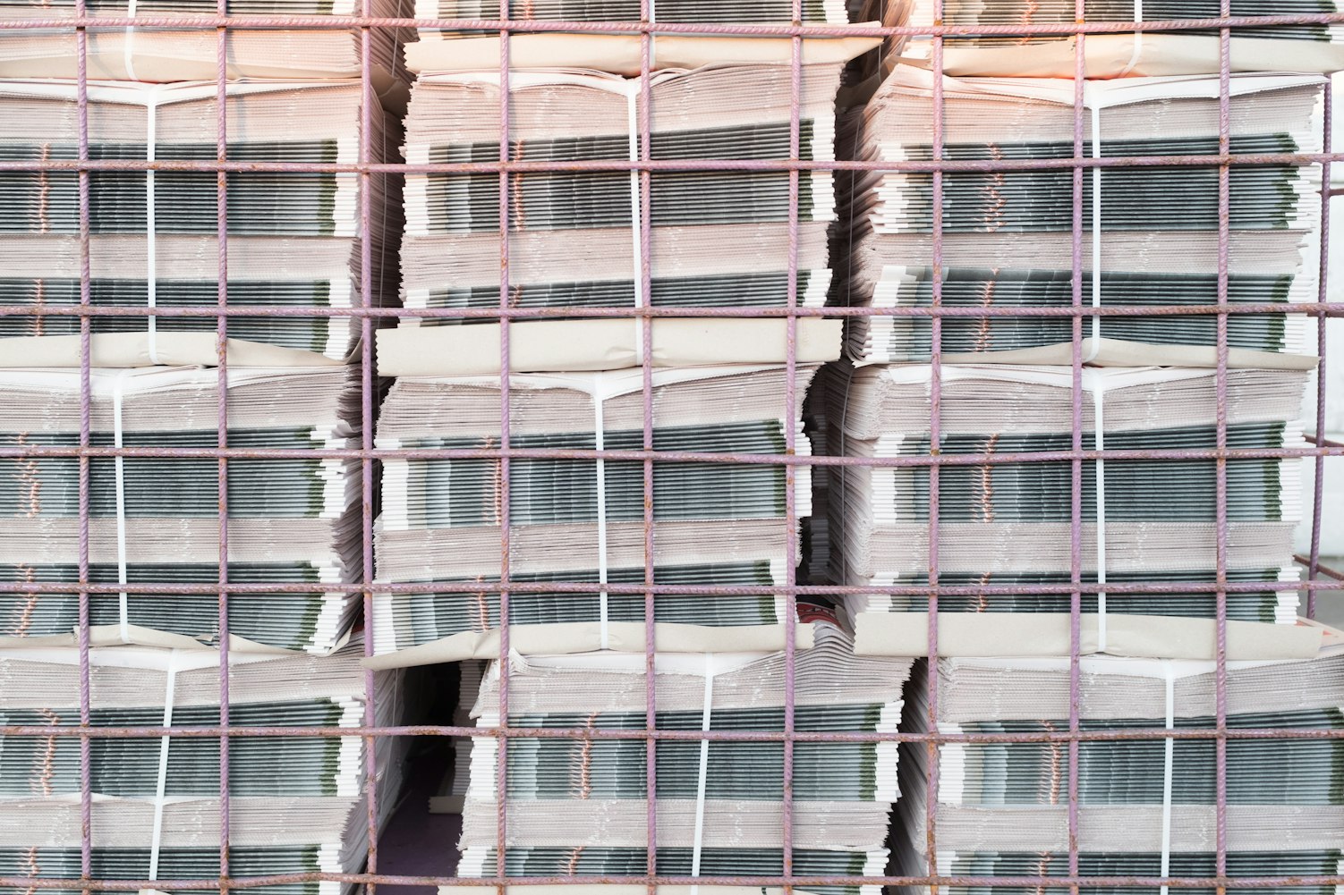 美国最新资讯概览,最新动态与新闻速递