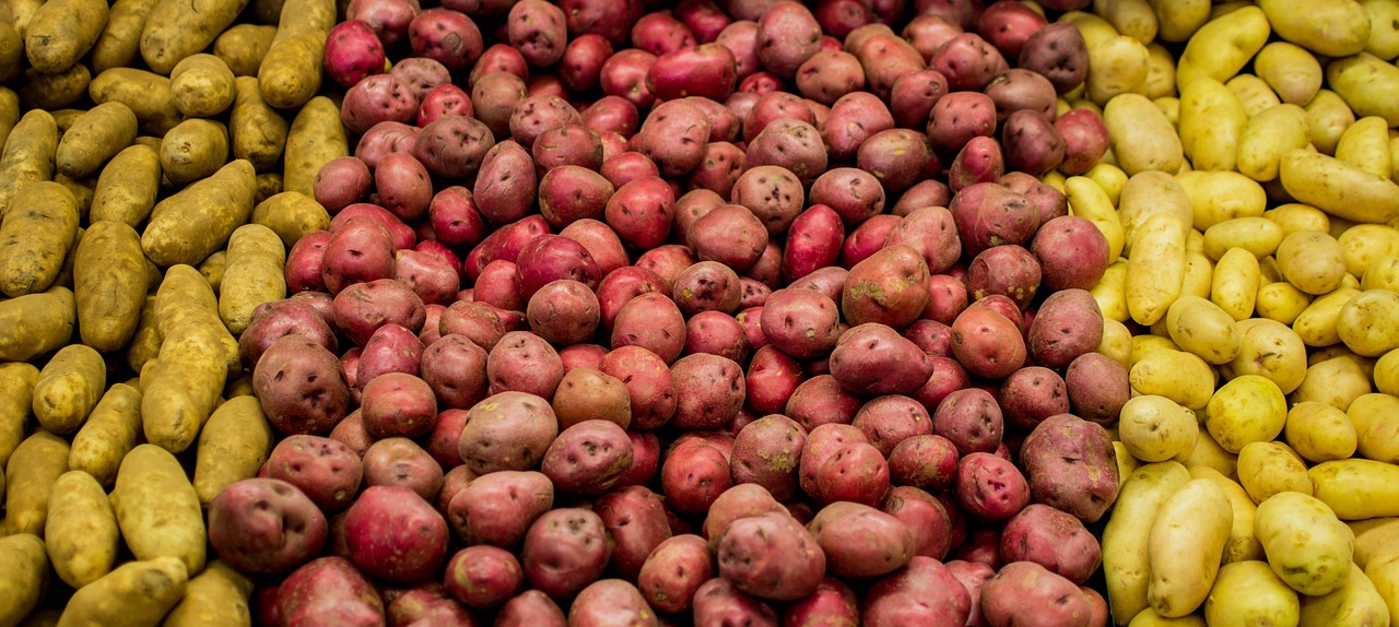 天狮礼包最新动态,引领健康产业创新与发展风潮!