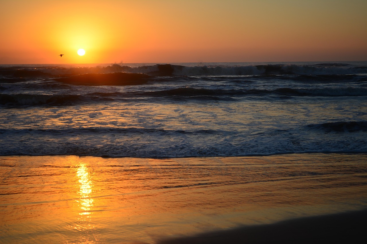 探索仙游皇庭美域的自然与人文和谐共生动态资讯
