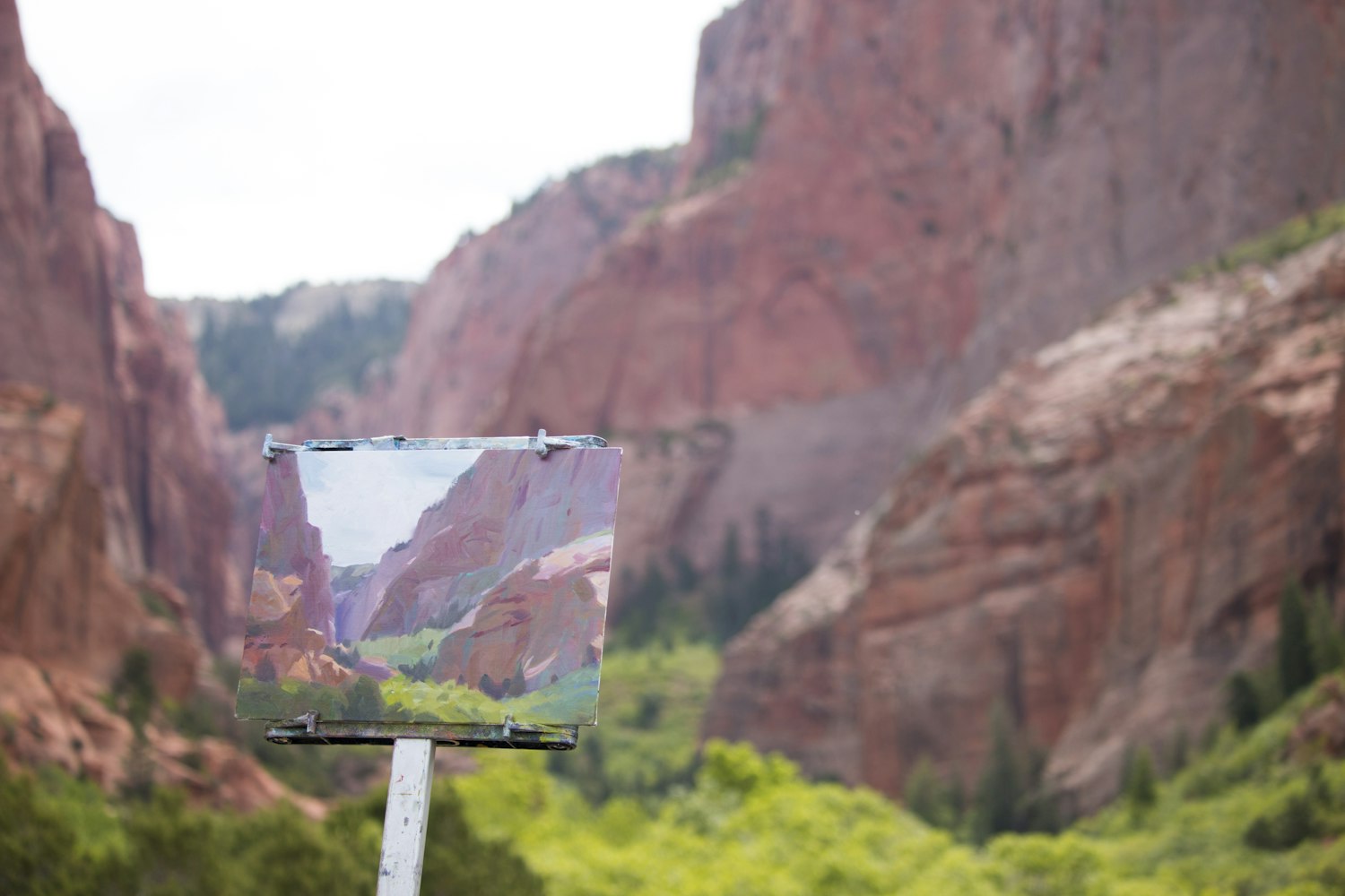 探索仙游皇庭美域的自然与人文和谐共生动态资讯