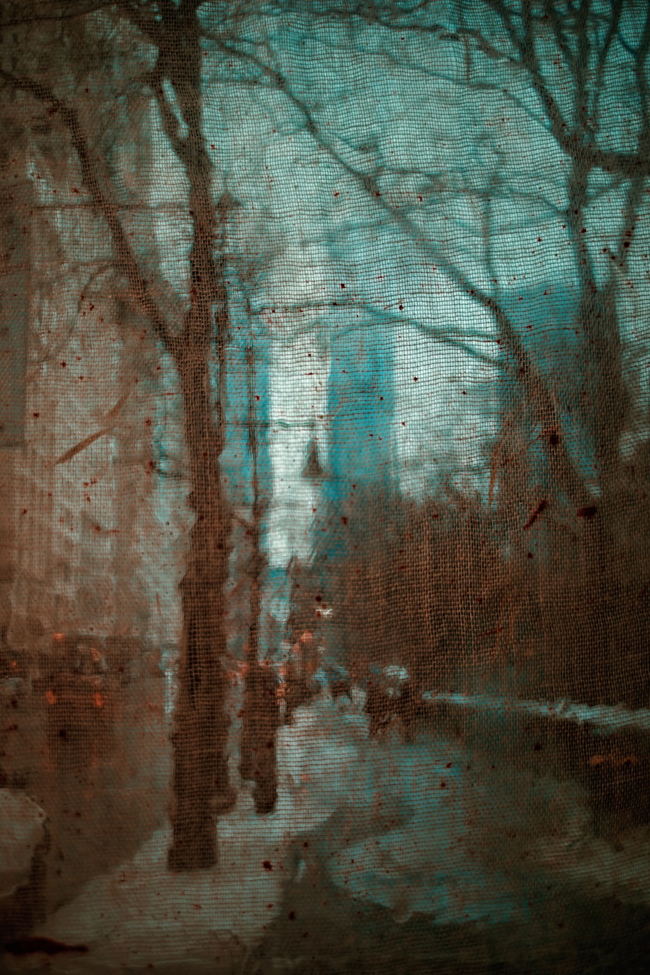 探索仙游皇庭美域的自然与人文和谐共生动态资讯