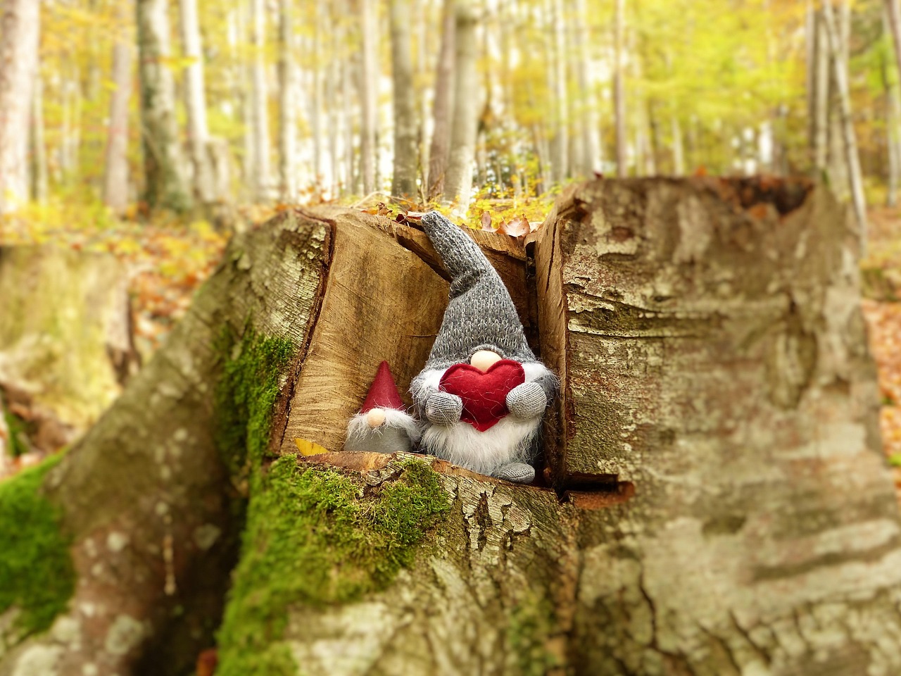 电影我的母亲,背后的故事与情感深度探索