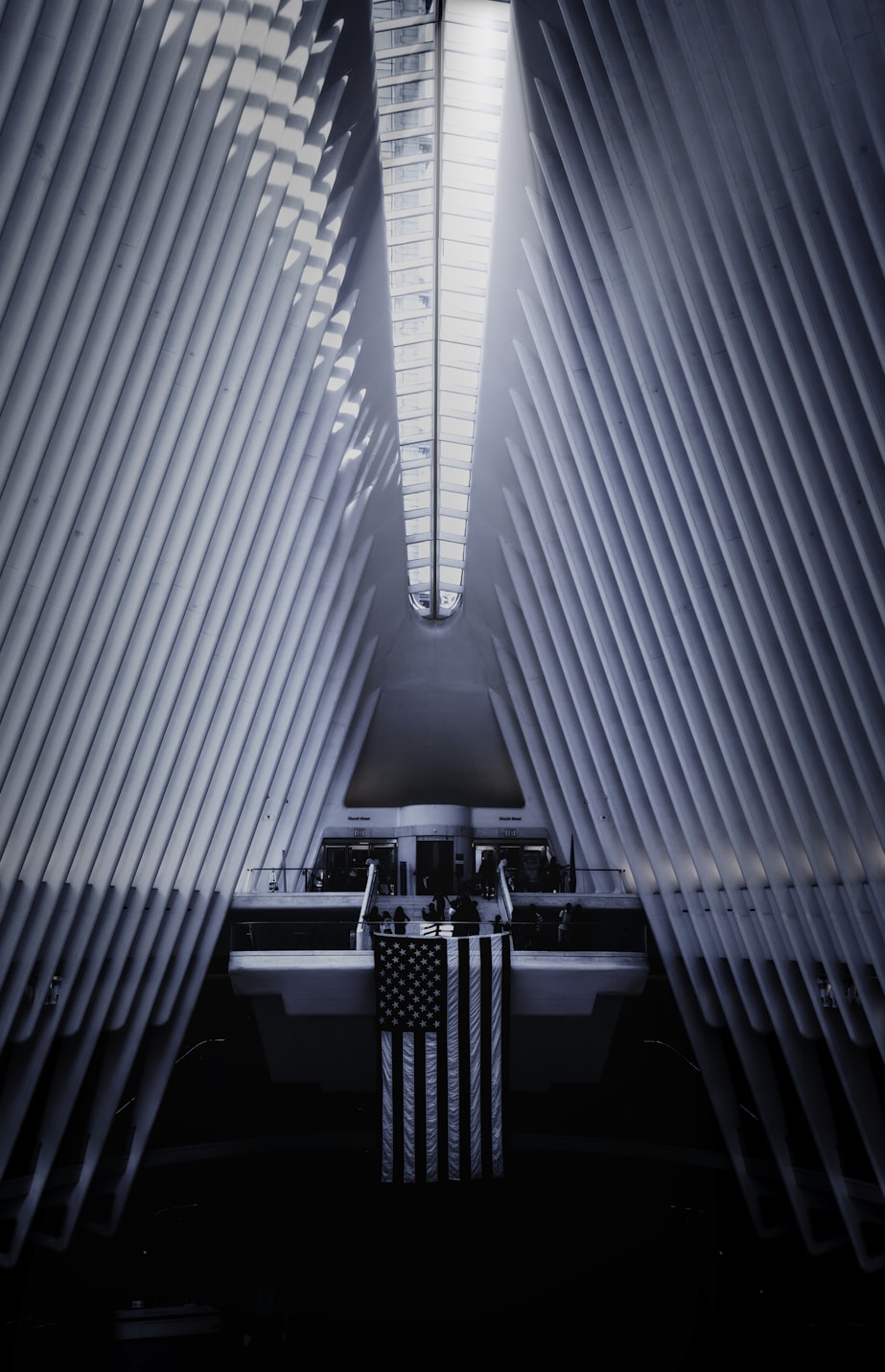 未来科技、文化与艺术交融之美，最新视界预览探索报告