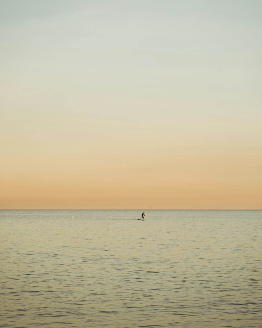 柏乡最新动态，城市发展与进步的不懈探索