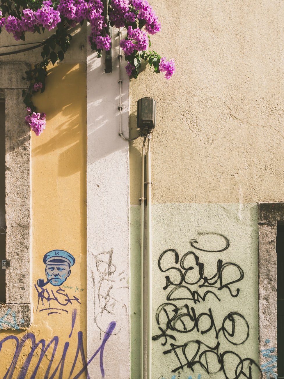 沫子最新动态，探索前沿，潮流引领者