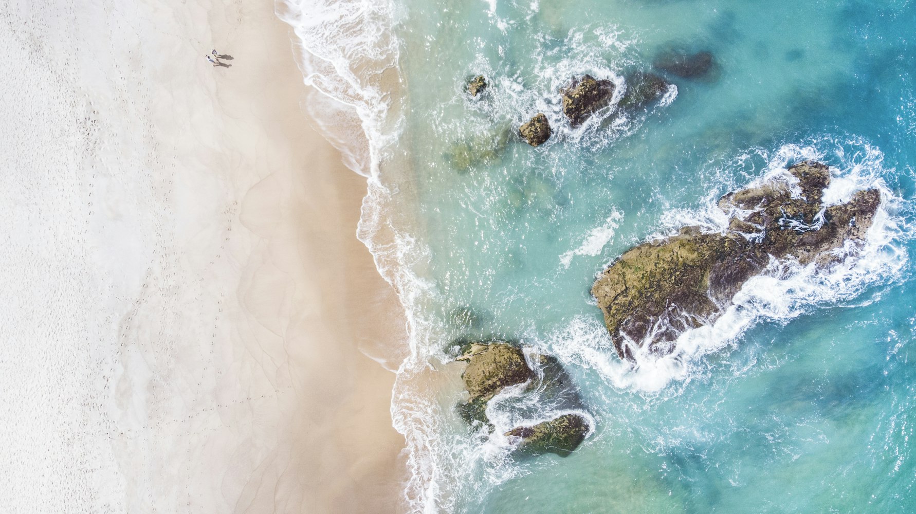 鱼获最新版本，探索海洋新时代的利器