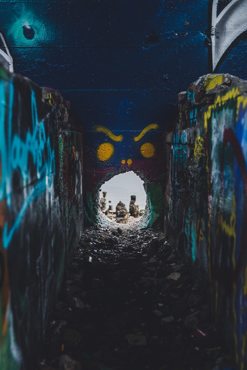 探寻未知领域，最新章节启示录