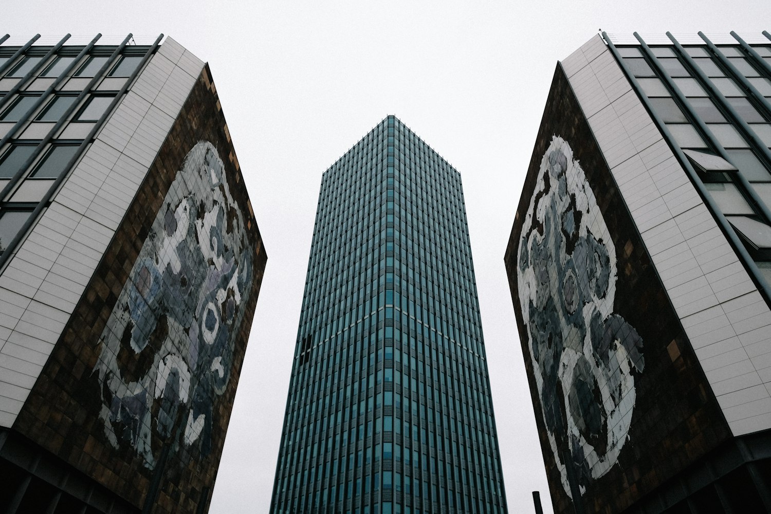 冬宫猫最新预测，探索未来趋势与机遇的洞察