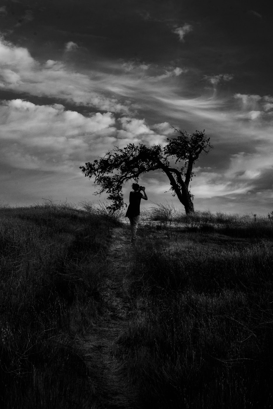 粉墨照片最新探索,现代摄影艺术的新领域