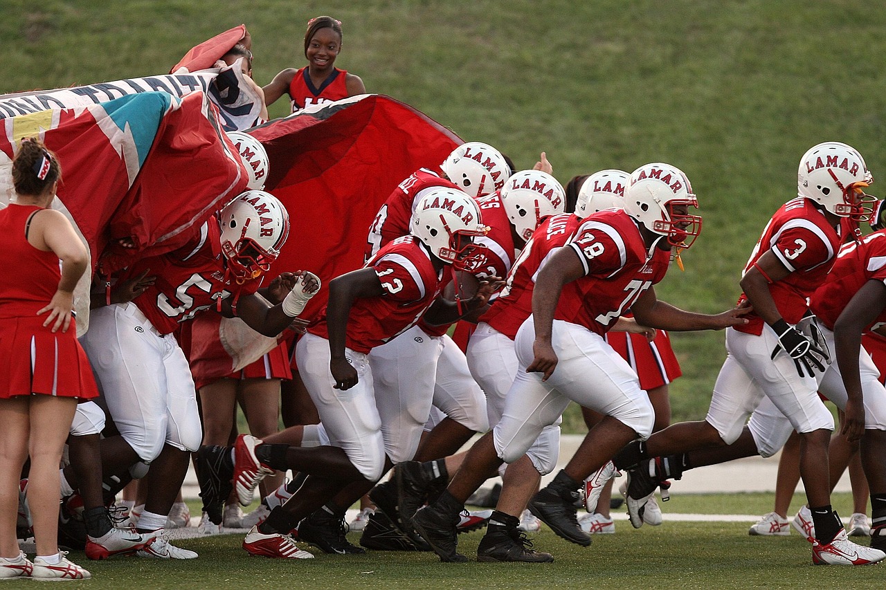 少儿武术比赛,磨砺意志,展现风采的竞技舞台