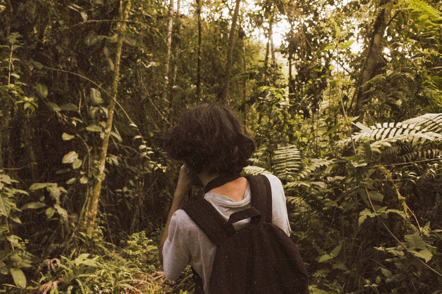 人在江湖演员，演技背后的故事与人生探索之旅