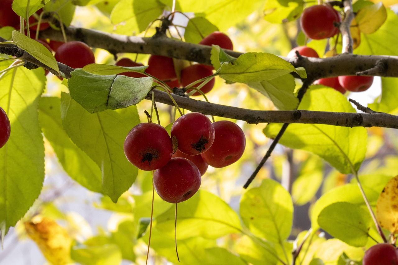 赣州方特乐园最新动态揭秘